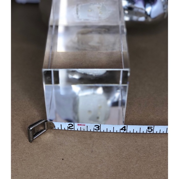 Horse Trophy Head Statue - Picture 8 of 15